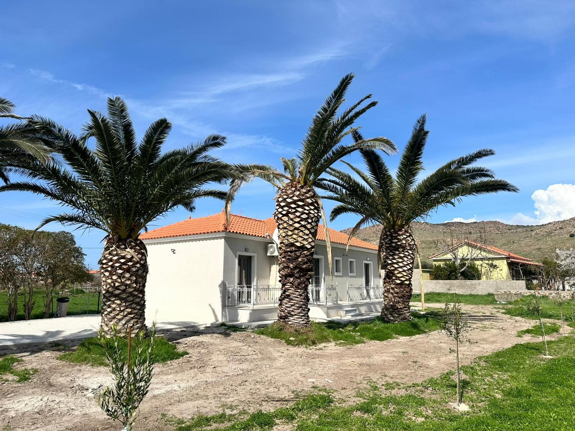 Ktimavita Apartment 1 Πέτρα Εξωτερικό φωτογραφία