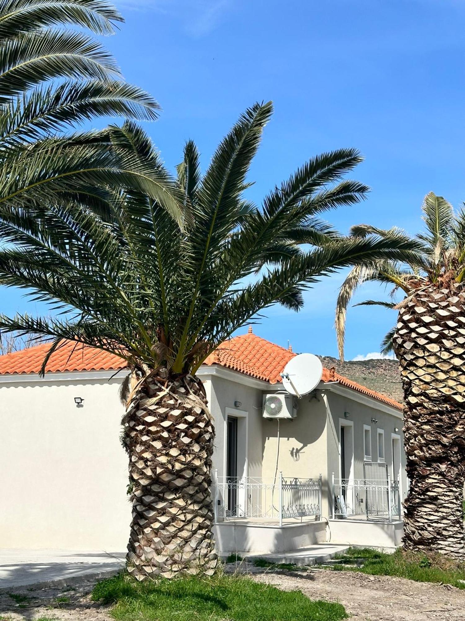 Ktimavita Apartment 1 Πέτρα Εξωτερικό φωτογραφία