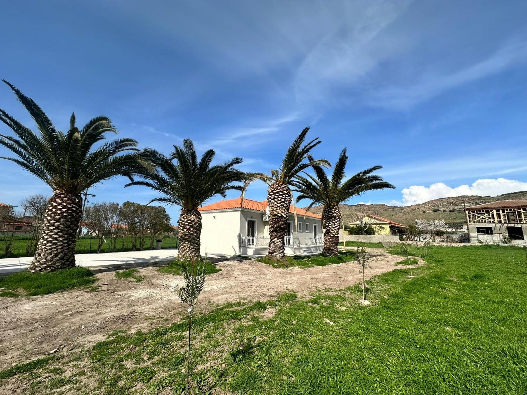 Ktimavita Apartment 1 Πέτρα Εξωτερικό φωτογραφία